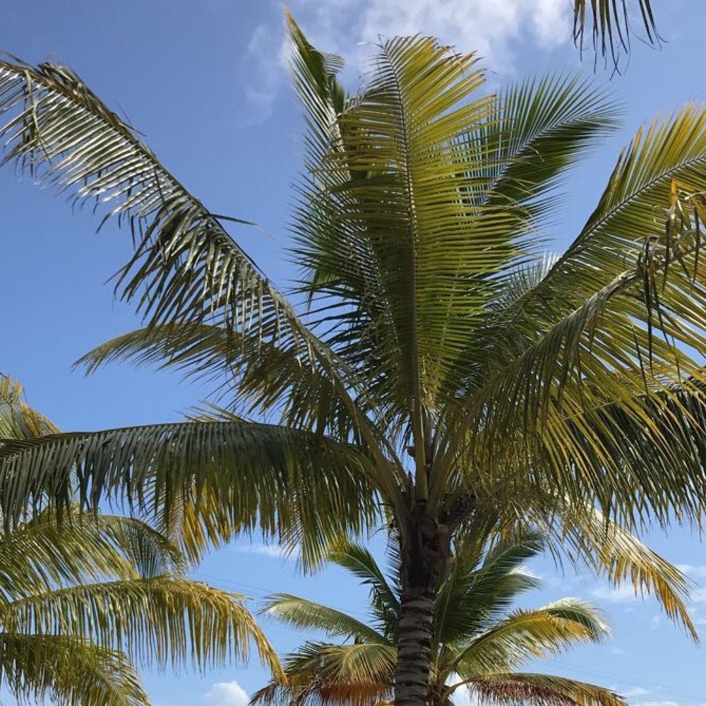 Meet your Posher, Lorraine